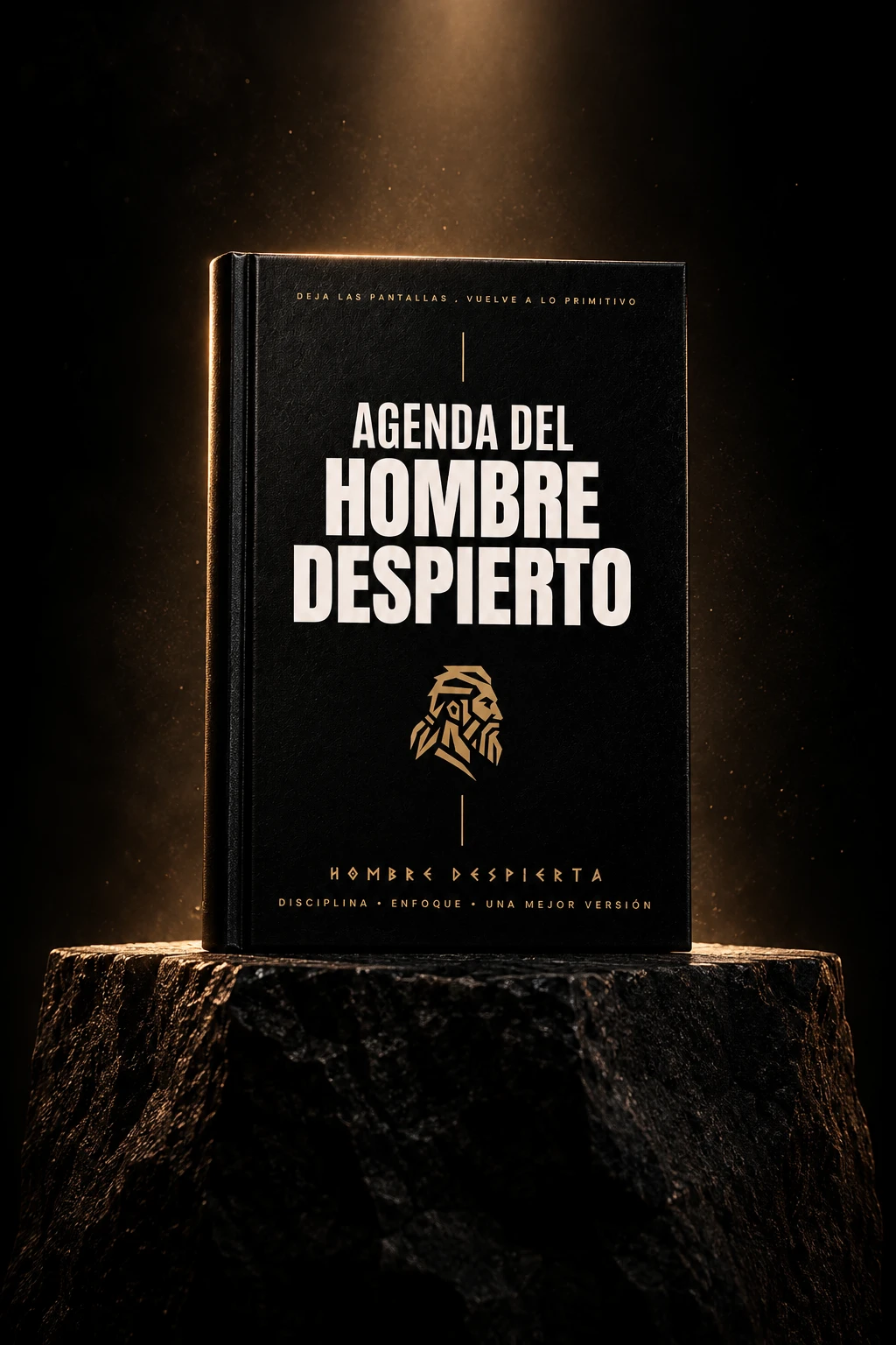 La Agenda del Hombre Despierto sobre una roca, iluminada por un haz de luz